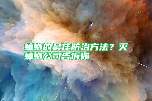 蟑螂的最佳防治方法？滅蟑螂公司告訴你