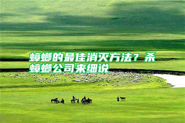 蟑螂的最佳消滅方法？殺蟑螂公司來細說