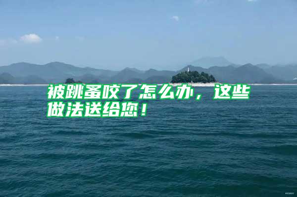 被跳蚤咬了怎么辦，這些做法送給您！