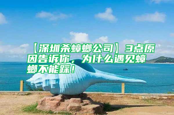 【深圳殺蟑螂公司】3點原因告訴你，為什么遇見蟑螂不能踩！