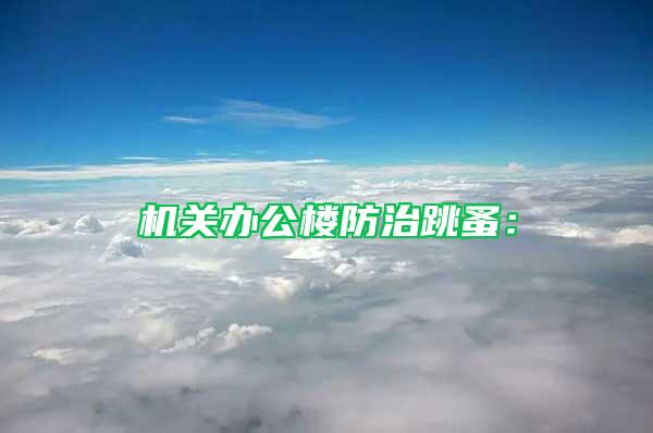 機(jī)關(guān)辦公樓防治跳蚤：