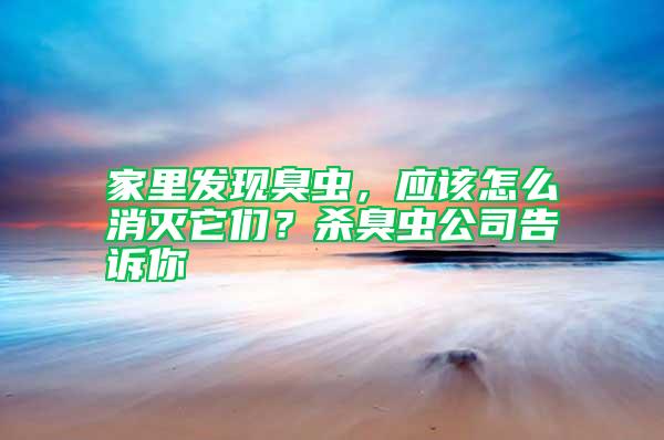 家里發(fā)現(xiàn)臭蟲，應該怎么消滅它們？殺臭蟲公司告訴你