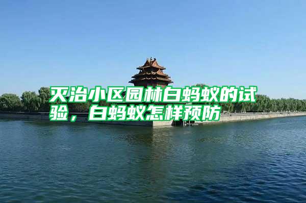 滅治小區園林白螞蟻的試驗，白螞蟻怎樣預防