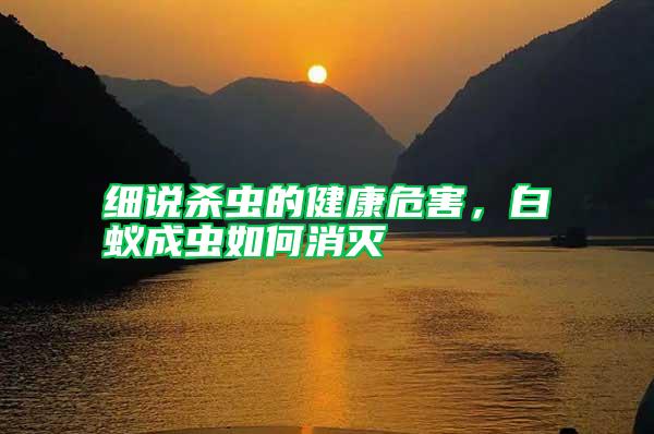 細說殺蟲的健康危害，白蟻成蟲如何消滅