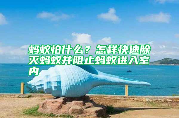 螞蟻怕什么？怎樣快速除滅螞蟻并阻止螞蟻進入室內