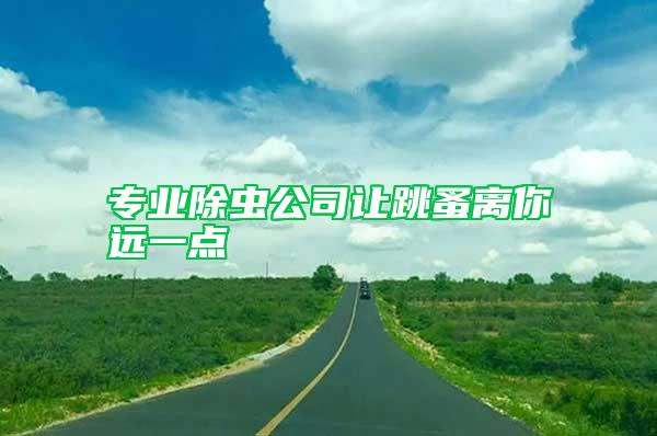 專業(yè)除蟲(chóng)公司讓跳蚤離你遠(yuǎn)一點(diǎn)