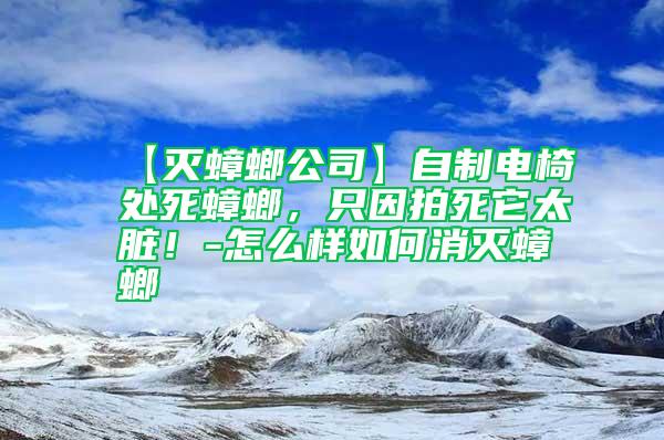 【滅蟑螂公司】自制電椅處死蟑螂，只因拍死它太臟！-怎么樣如何消滅蟑螂
