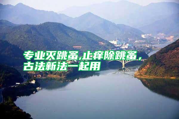 專業滅跳蚤,止癢除跳蚤， 古法新法一起用