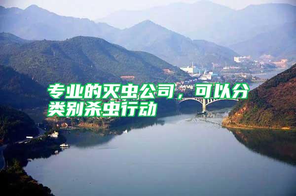 專業(yè)的滅蟲公司，可以分類別殺蟲行動(dòng)