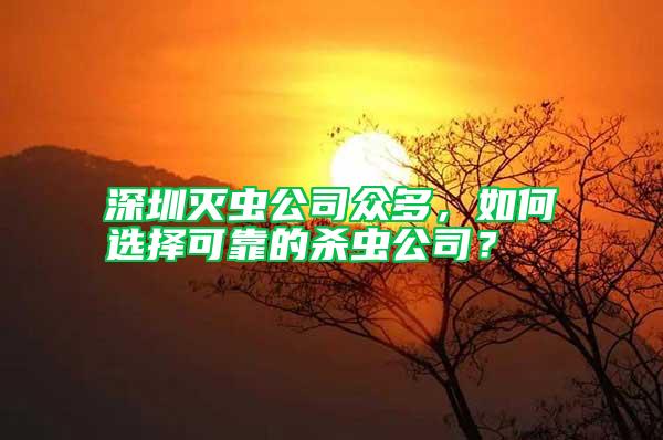 深圳滅蟲公司眾多，如何選擇可靠的殺蟲公司？