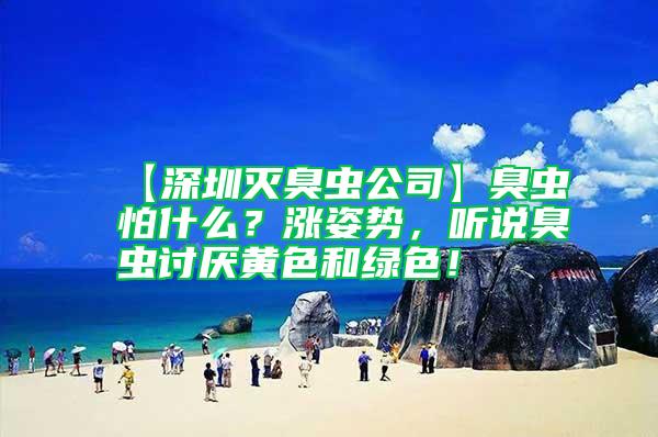 【深圳滅臭蟲公司】臭蟲怕什么？漲姿勢，聽說臭蟲討厭黃色和綠色！