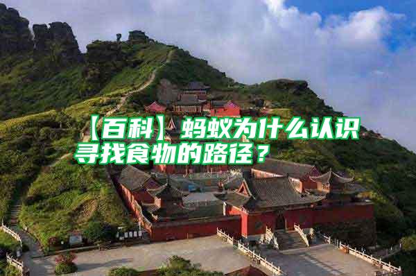 【百科】螞蟻為什么認(rèn)識尋找食物的路徑?