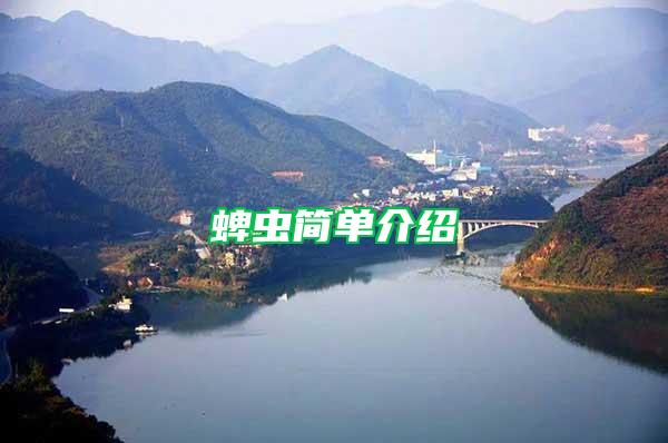 蜱蟲簡(jiǎn)單介紹