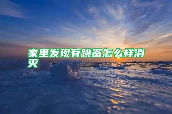家里發現有跳蚤怎么樣消滅