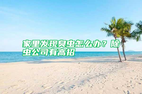 家里發現臭蟲怎么辦？除蟲公司有高招