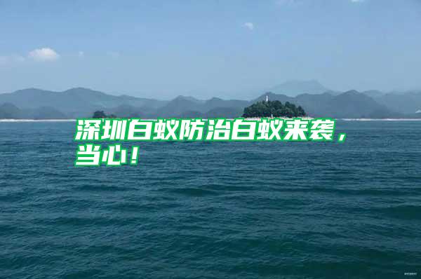 深圳白蟻防治白蟻來襲，當(dāng)心！