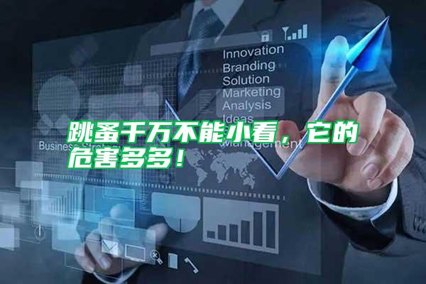 跳蚤千萬不能小看,它的危害多多!