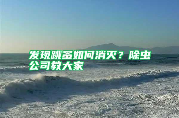 發(fā)現(xiàn)跳蚤如何消滅？除蟲(chóng)公司教大家
