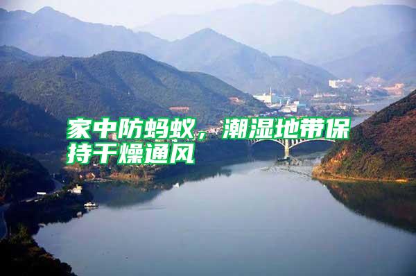 家中防螞蟻,潮濕地帶保持干燥通風