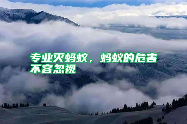 專業滅螞蟻，螞蟻的危害不容忽視