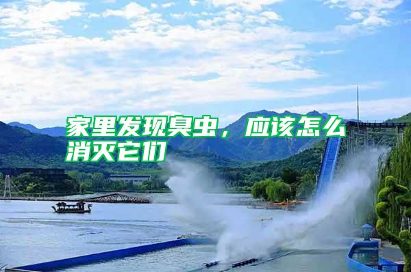 家里發(fā)現(xiàn)臭蟲,應(yīng)該怎么消滅它們