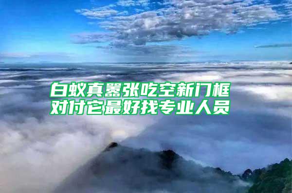 白蟻真囂張吃空新門框 對付它最好找專業(yè)人員