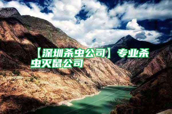 【深圳殺蟲公司】專業(yè)殺蟲滅鼠公司