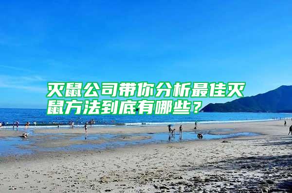 滅鼠公司帶你分析最佳滅鼠方法到底有哪些?