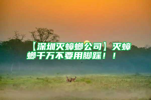 【深圳滅蟑螂公司】滅蟑螂千萬(wàn)不要用腳踩！！