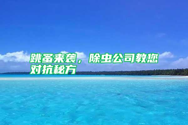 跳蚤來襲，除蟲公司教您對抗秘方