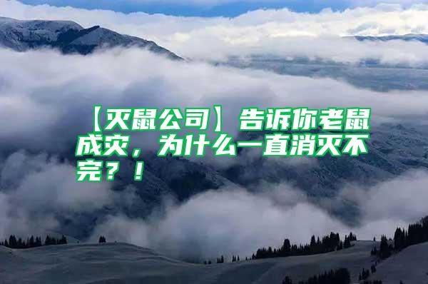 【滅鼠公司】告訴你老鼠成災(zāi)，為什么一直消滅不完？！