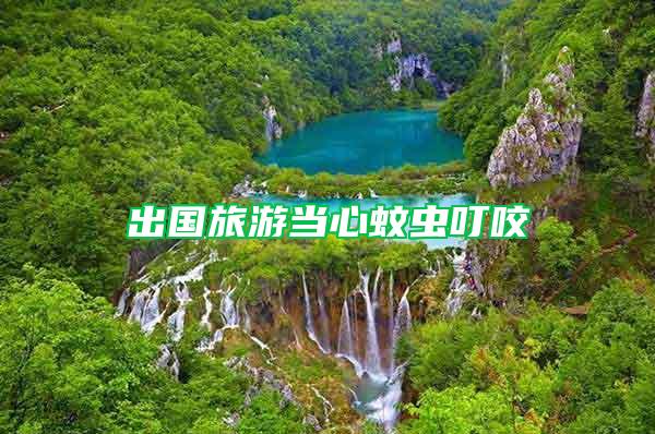 出國旅游當(dāng)心蚊蟲叮咬