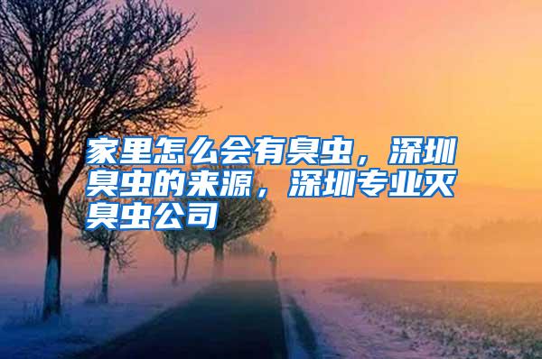 家里怎么會有臭蟲，深圳臭蟲的來源，深圳專業滅臭蟲公司