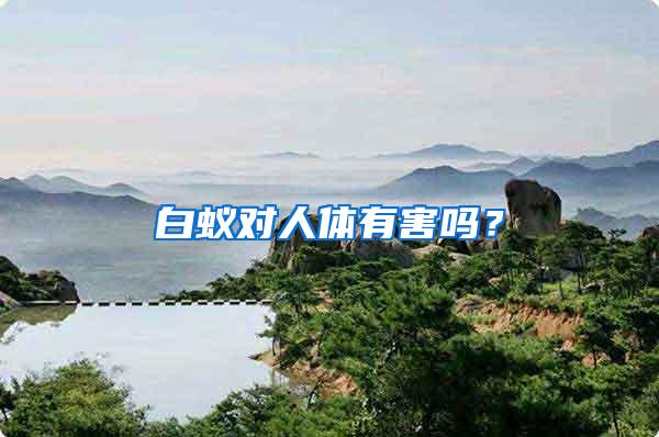 白蟻對人體有害嗎？