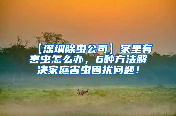 【深圳除蟲公司】家里有害蟲怎么辦,6種方法解決家庭害蟲困擾問題!