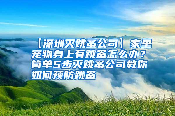 【深圳滅跳蚤公司】家里寵物身上有跳蚤怎么辦?簡單5步滅跳蚤公司教你如何預防跳蚤
