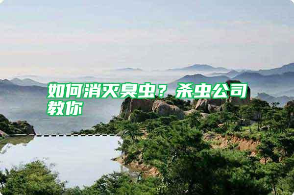 如何消滅臭蟲(chóng)?殺蟲(chóng)公司教你