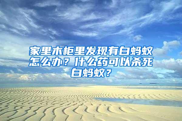 家里木柜里發現有白螞蟻怎么辦?什么藥可以殺死白螞蟻?
