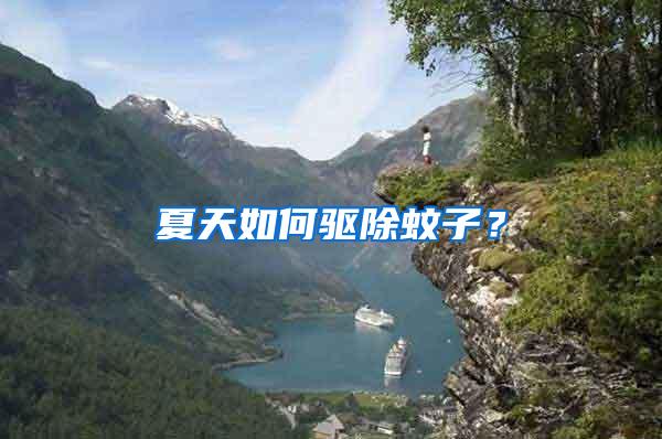夏天如何驅除蚊子？