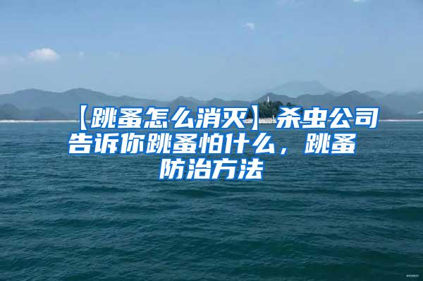 【跳蚤怎么消滅】殺蟲(chóng)公司告訴你跳蚤怕什么，跳蚤防治方法