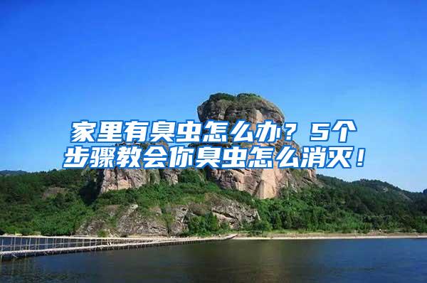 家里有臭蟲怎么辦？5個步驟教會你臭蟲怎么消滅！