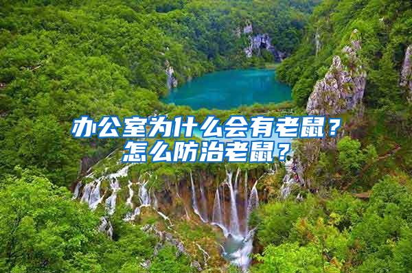 辦公室為什么會(huì)有老鼠？怎么防治老鼠？