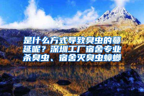 是什么方式導(dǎo)致臭蟲的蔓延呢？深圳工廠宿舍專業(yè)殺臭蟲、宿舍滅臭蟲蟑螂