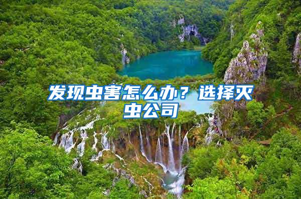 發(fā)現(xiàn)蟲害怎么辦？選擇滅蟲公司