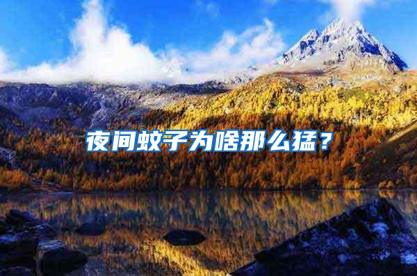 夜間蚊子為啥那么猛？