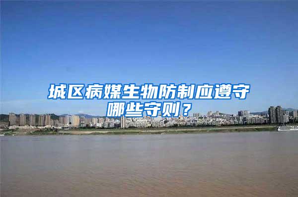 城區病媒生物防制應遵守哪些守則?