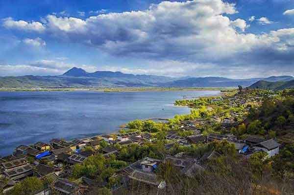 寨卡病毒蔓延全球或成真，家里如何做到沒蚊子