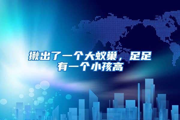 揪出了一個大蟻巢,足足有一個小孩高