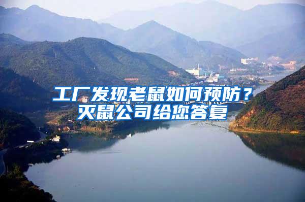 工廠發現老鼠如何預防?滅鼠公司給您答復