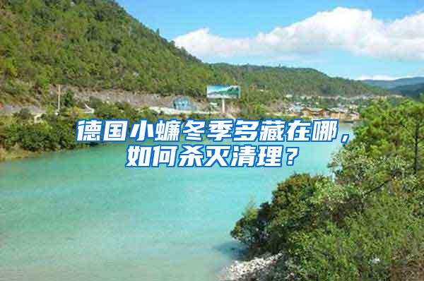 德國(guó)小蠊冬季多藏在哪，如何殺滅清理？